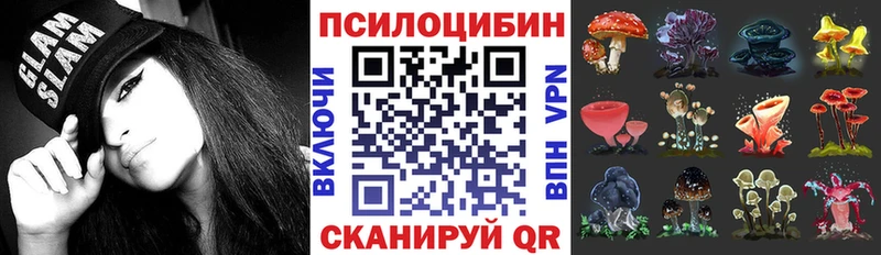 Псилоцибиновые грибы GOLDEN TEACHER МЕГА онион это как зайти цена наркотик Курлово